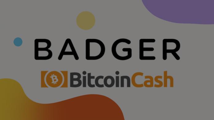 badger - افزونه های ارزهای دیجیتال