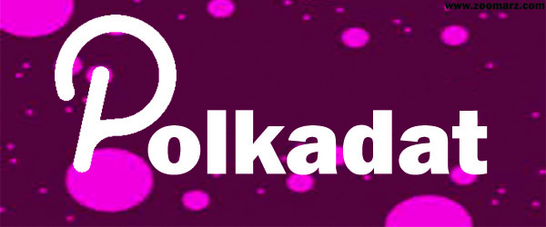 Polkadot، توکن های DeFi یPOLS و Cross-chain DEX را راه اندازی می کند.