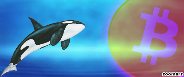 خرید 30 هزار واحدی بیت کوین از سوی یک نهنگ