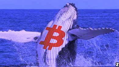 نهنگ ها همچنان به خرید بیت کوین ادامه می‌دهند