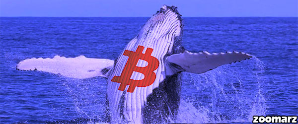 نهنگ ها همچنان به خرید بیت کوین ادامه می‌دهند