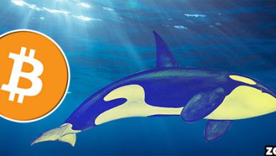 whale btc 3