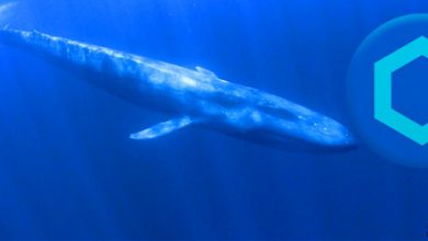 نهنگ های چین لینک تمایلی به نگهداری این رمز ارز ندارند