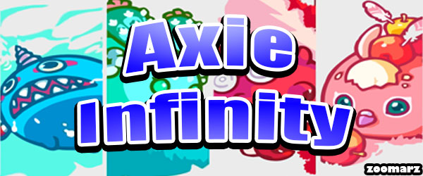 انواع حالت های بازی اکسی اینفینیتی Axie Infinity