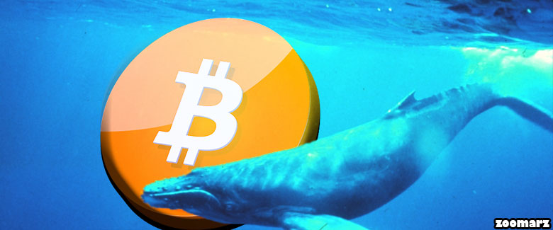 آیا نهنگ ها در حال بازی کردن با قیمت بیت کوین هستند؟