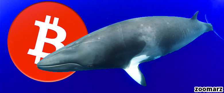نهنگ های بیت کوین به دنبال فروش!
