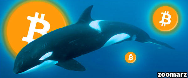 نهنگ ها 4 میلیارد دلار بیت کوین را جا به جا کردند