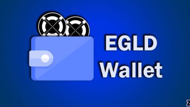 بهترین کیف پول الروند EGLD