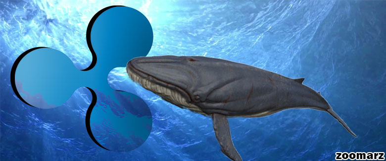 جنب و جوش نهنگ های XRP