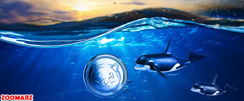 3 دلیل برای خریدهای مکرر شیبا توسط نهنگ‌ها