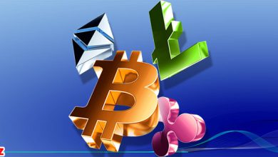 پذیرش شیبا، XRP و کاردانو در فروشگاه‌های وردپرسی