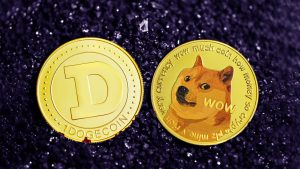 پیش بینی قیمت رمز ارز DOGE با نگاهی به گذشته قیمتی این ارز دیجیتال