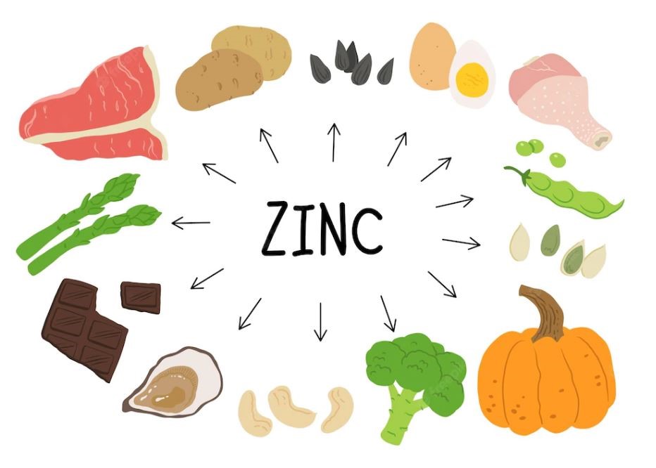 ده غذایی که مقدار بالایی زینک (روی) دارند