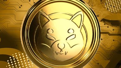 آیا نسخه دوم ShibaSwap در جریان کار است؟