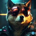 افت حجم معاملات و سوختگی؛ SHIB در مسیر کاهش یا آماده انفجار؟