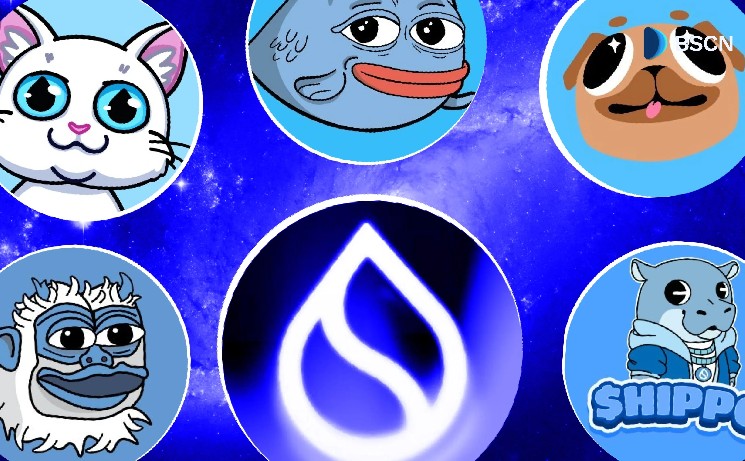 پنج memecoin برتر شبکه Sui که به‌سرعت در حال رشد و جذب جامعه‌اند