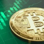جایگزینی آرام برای آرزوی خانه‌دار شدن بیت‌کوین؛ رویا یا واقعیت جدید آمریکایی؟