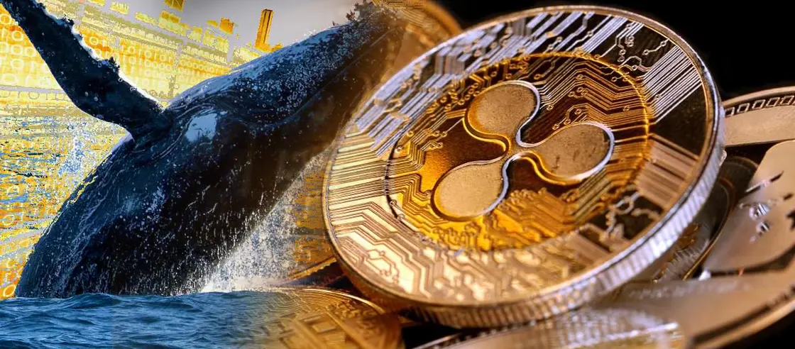 انباشت سنگین نهنگ‌ها در ریپل؛ آیا جهش قیمتی در راه است؟