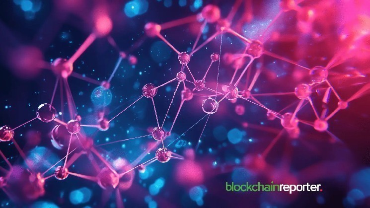 همکاری میان Terminus Network و Creditlink برای گسترش اعتبار درون زنجیره‌ای در معاملات DeFi