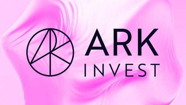 کاهش شدید قیمت سهام BitMine: خریدهای Ark Invest چه تأثیری بر آینده ارزهای دیجیتال خواهد گذاشت؟