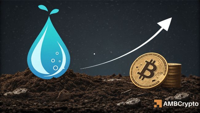 رونمایی BTCfi و افزایش TVL، نقطه عطفی برای رشد SUI در بازار دیفای