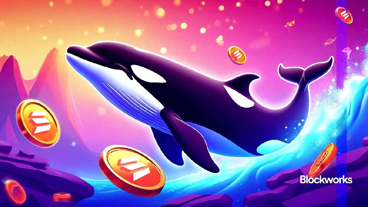 اولین پلتفرم سولانا؛ آیا Wavebreak می‌تواند رقابت را به نفع کاربران واقعی تغییر دهد؟
