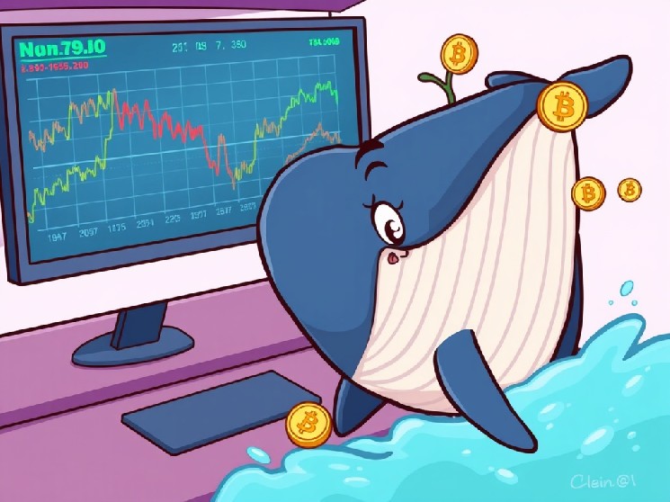 نهنگ رمزنگاری 696 هزار دلار ضرر بزرگ در معاملات ETH تجربه کرد
