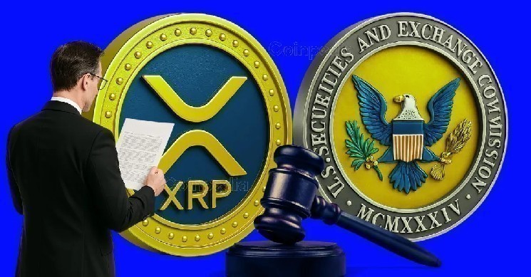 درخواست تجدیدنظر ریپل: چرا کمیسیون بورس آمریکا هنوز تصمیم نگرفته است؟