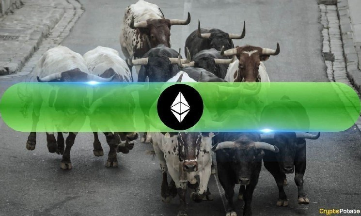 شرکت Sharplink Gaming و Bitmine: ورود عظیم سرمایه به اتریوم و افزایش قیمت‌های آن