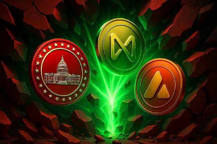 سقوط بیت‌کوین به ۱۱۶ هزار دلار؛ سرمایه‌گذاران به سراغ Magacoin Finance و Avax می‌روند