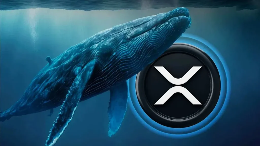 ripple-whale-bullish-patterns