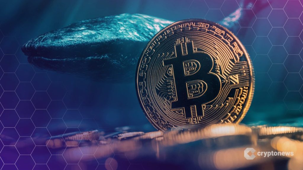 crypto-whale-163m-bitcoin-short