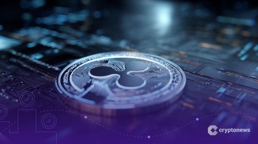 دیوید شوارتز؛ مدیر فنی ریپل تا پایان سال کناره‌گیری می‌کند