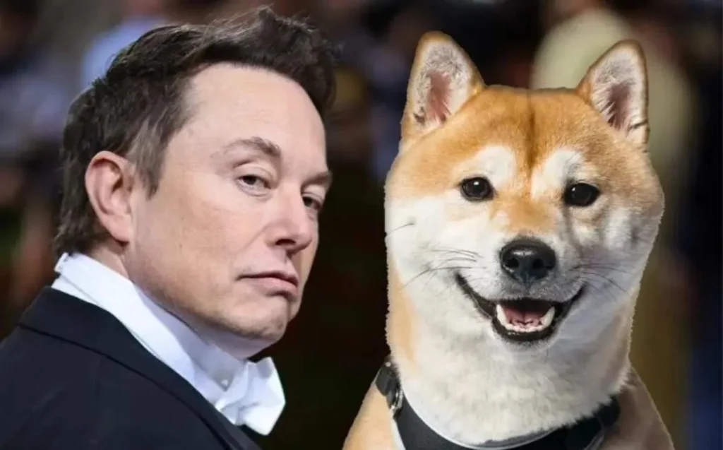 elon-musk-floki-pump