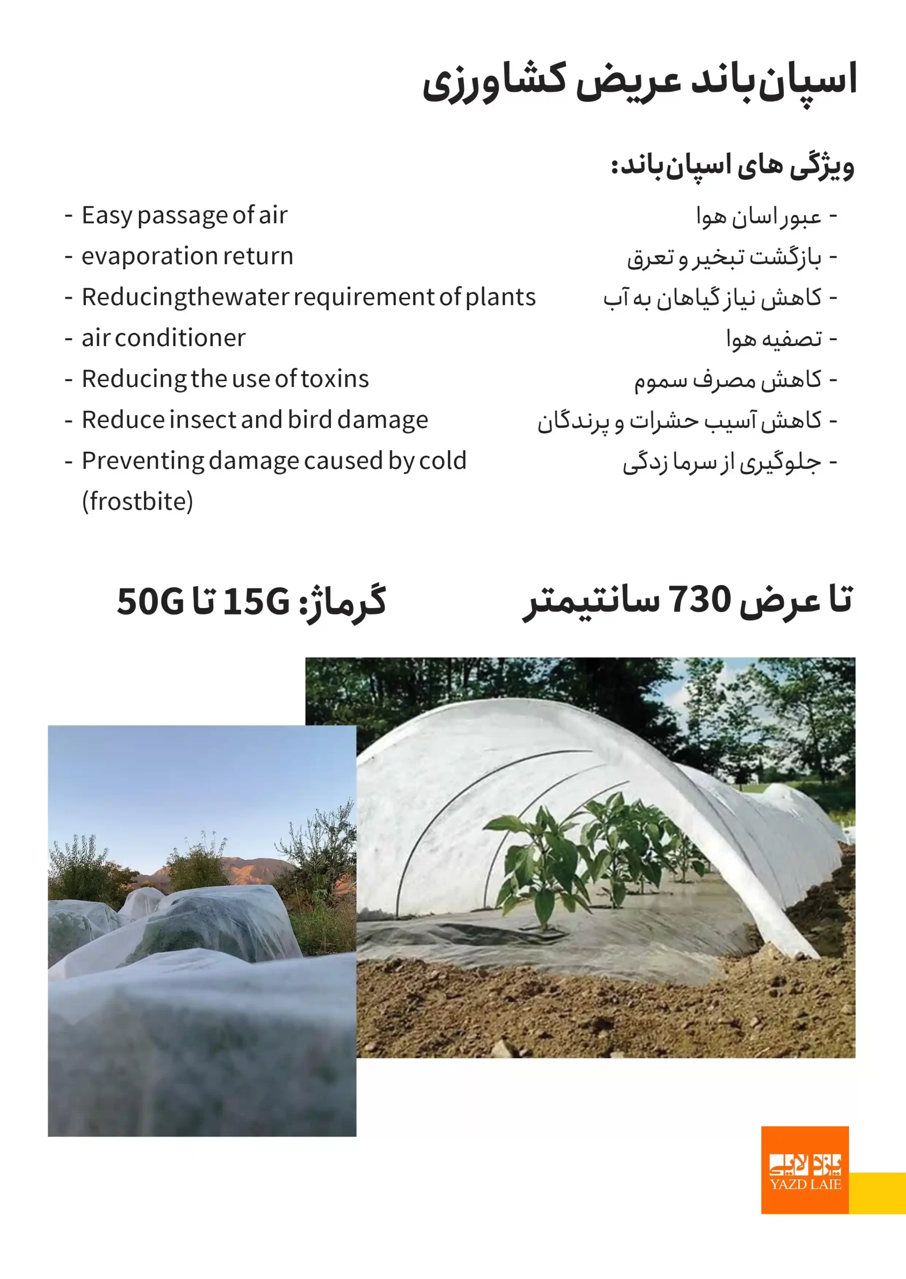 بهترین روش حفظ گیاهان از سرما زدگی در زمستان