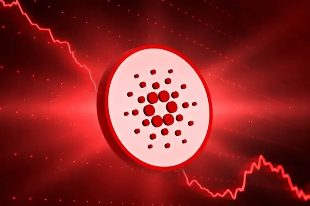 cardano-faces-2024-low