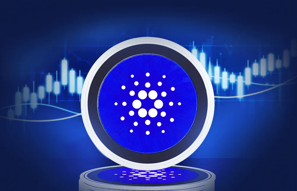 cardano-holder-lost-6m