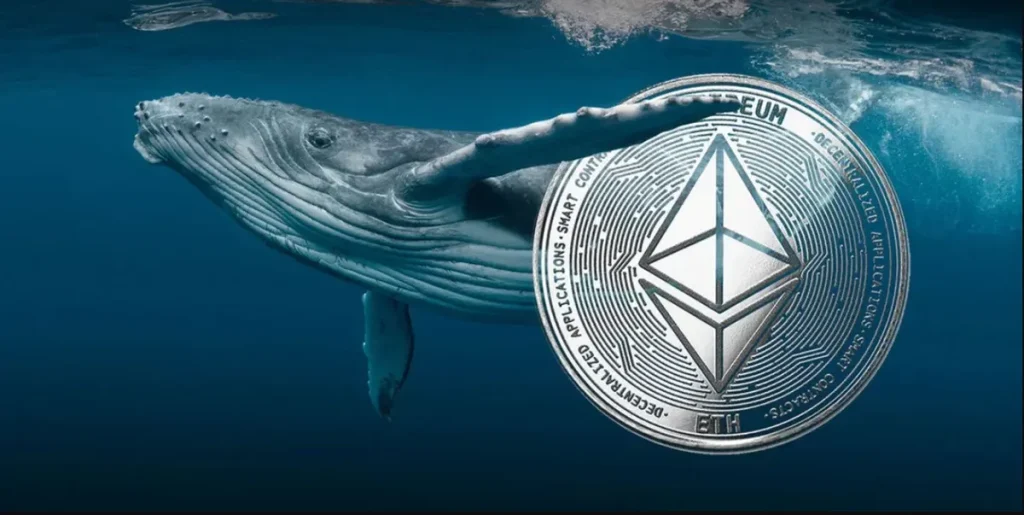 ethereum-whales-fusaka