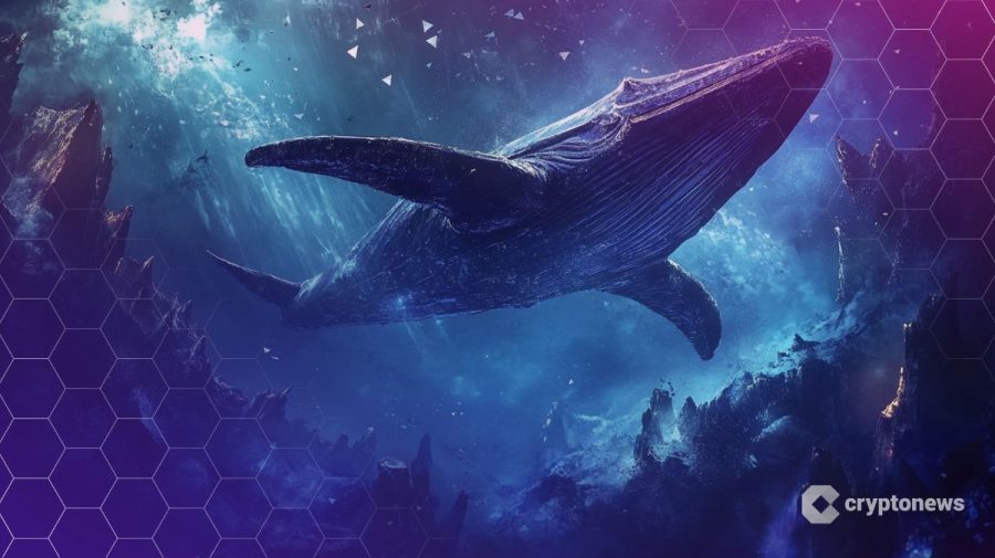 نهنگ Hyperliquid با ۴۴.۵ میلیون دلار پوزیشن لانگ اتریوم شد