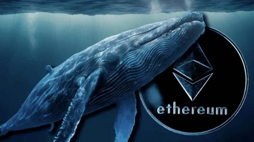 mysterious-whale-ether-long