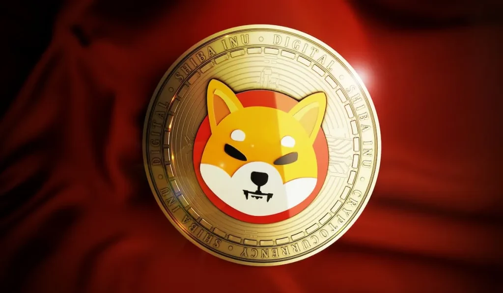 shiba-burn-outflow