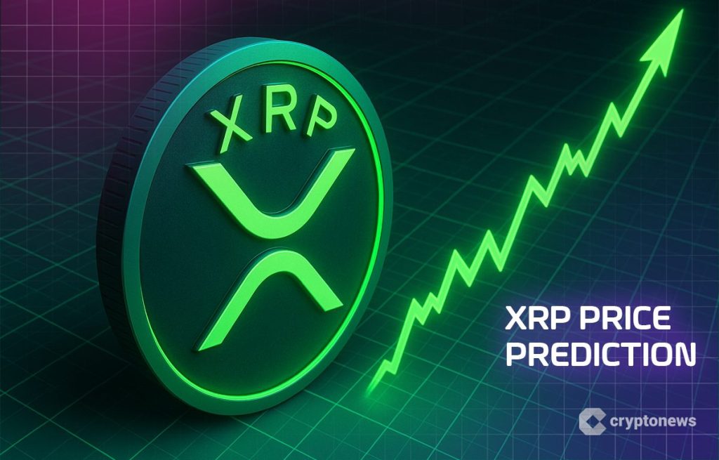 xrp-support-1-80