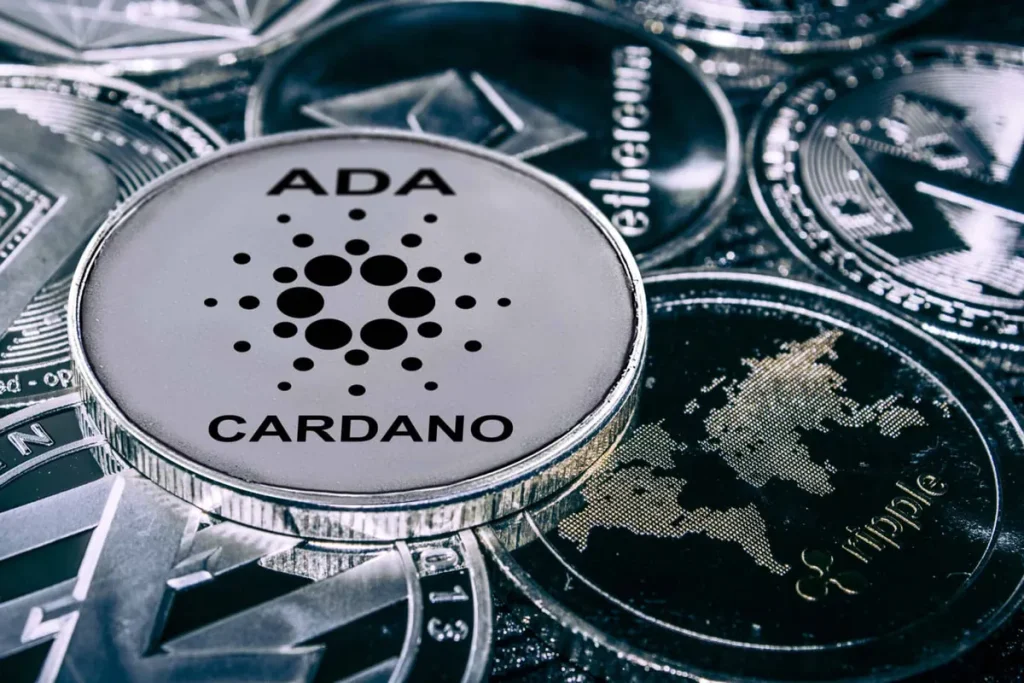 cardano-network-glitch-price-drop
