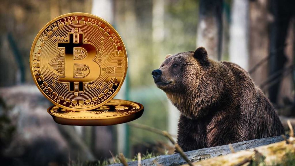 cryptoquant-bitcoin-bear-market