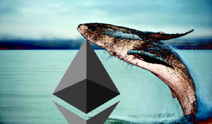 eth-whales-426m-long