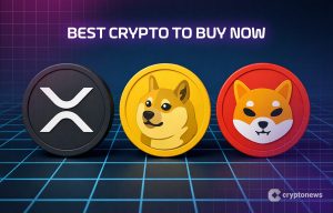 XRP، دوج‌کوین و شیبا؛ بهترین خرید کریپتو اکنون
