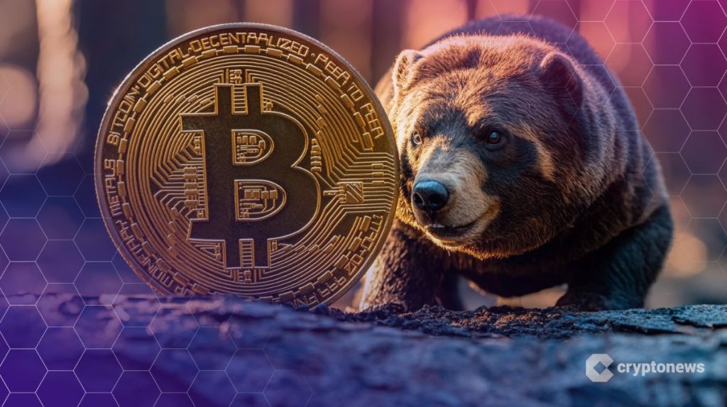 bitcoin-bear-market-november